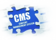 Category for Content Management System (CMS) Training in Indonesia