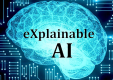 Explainable AI (XAI) Training in Indonesia