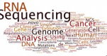 Microbial Genomics Training in Indonesia