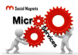 Microservices Training in Indonesia