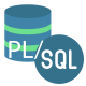 Category for Oracle PL/SQL Training in Indonesia