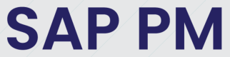 Category for SAP PM Training in Indonesia