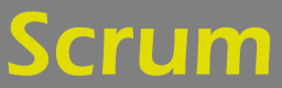 Scrum Training in Indonesia