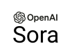 Sora Training in Indonesia