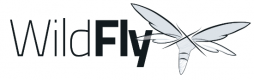 Wildfly Training in Indonesia